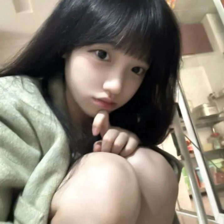哈莉·奎茵第四季