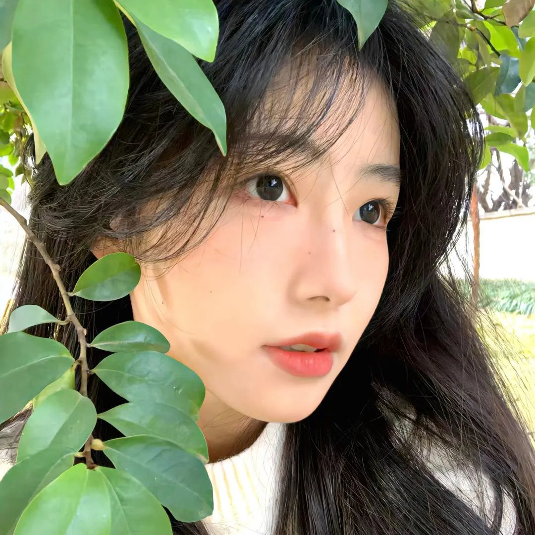 明月照尖东